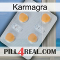 Karmagra 24